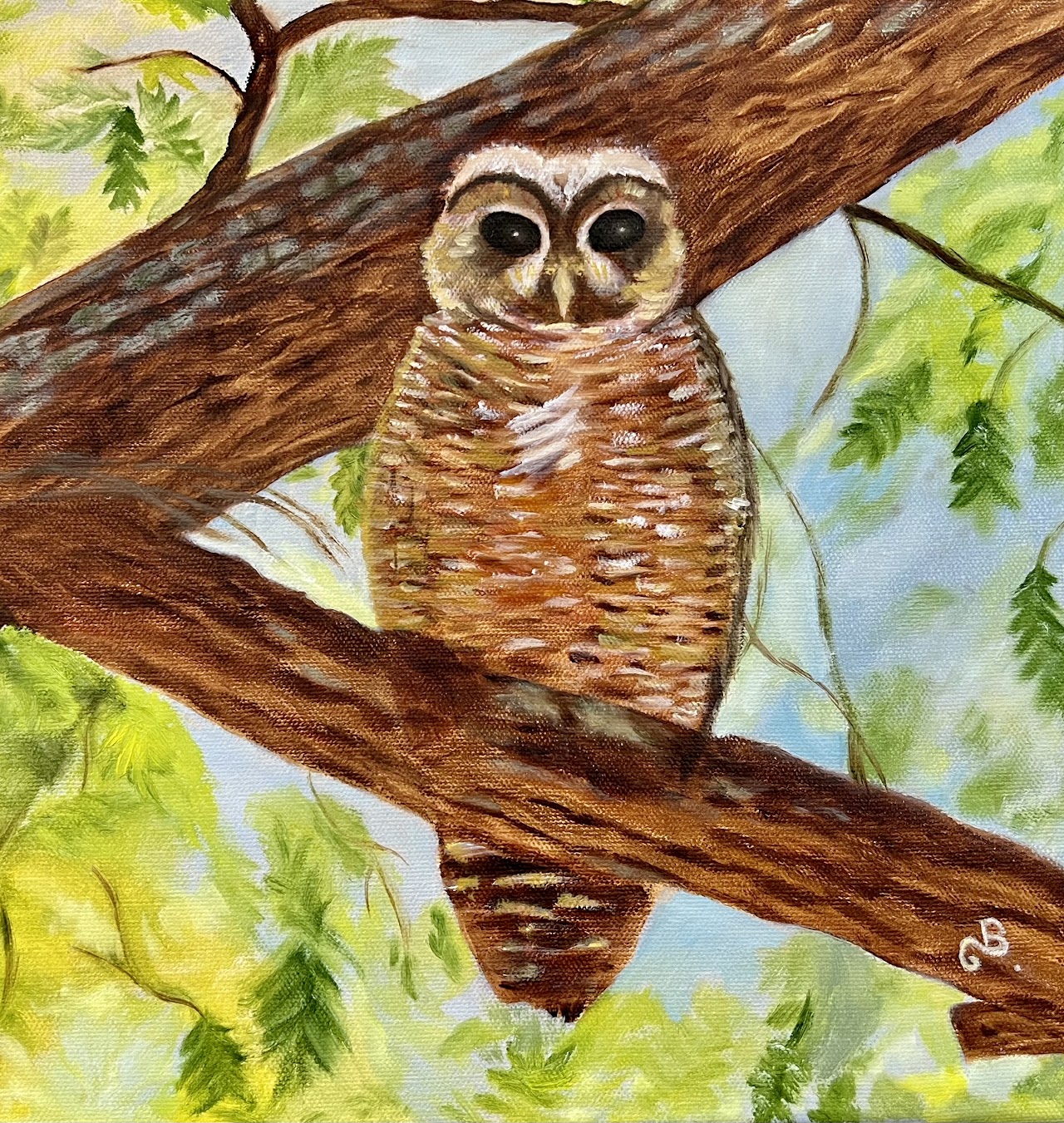 (OIl on canvas 10x10') $165