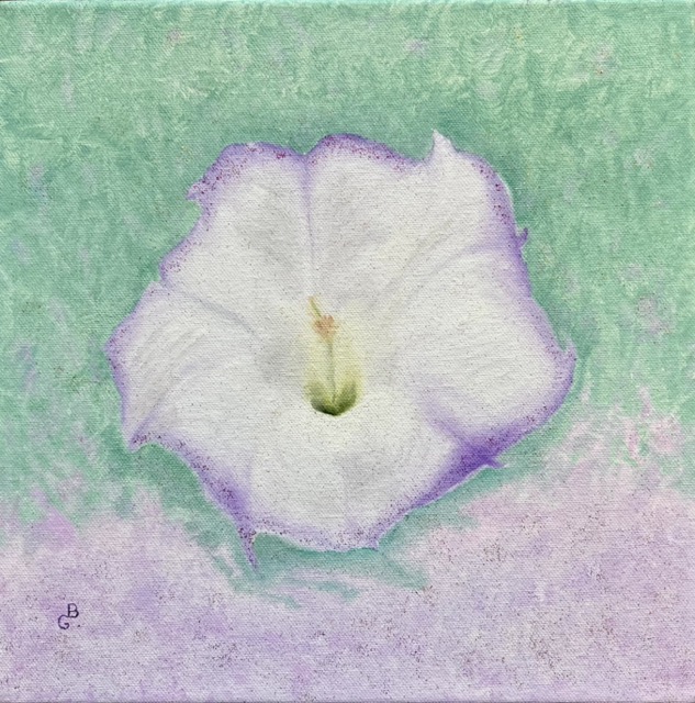 Datura's Vibration